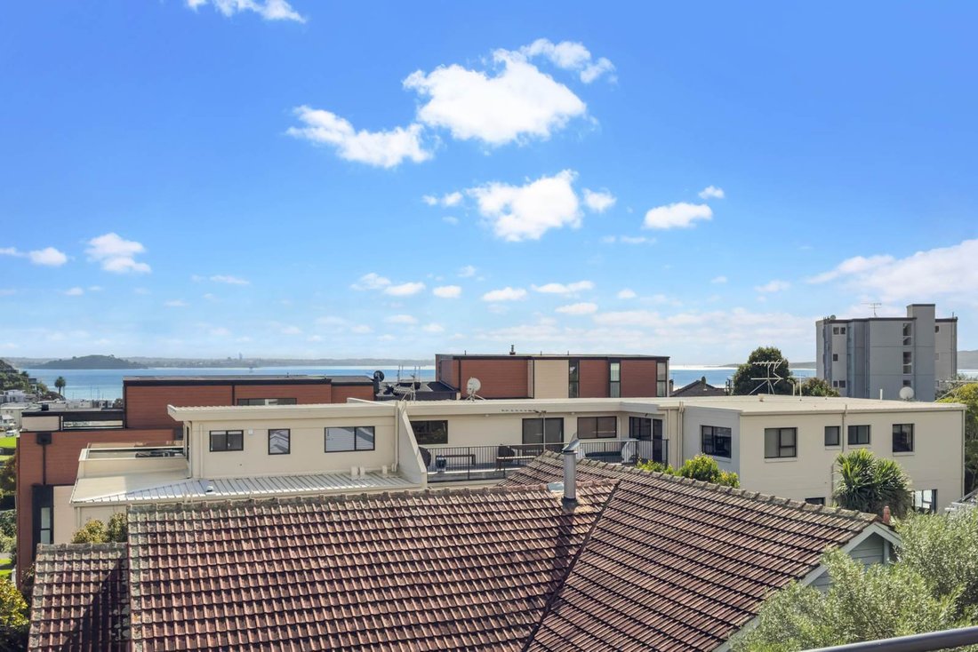 House in Auckland, Auckland, New Zealand 4 - 15978465