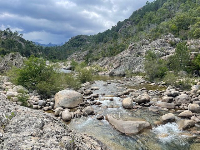 Bavella’s Whisper: A Wild Corsican Castle Awaits Its Renaissance