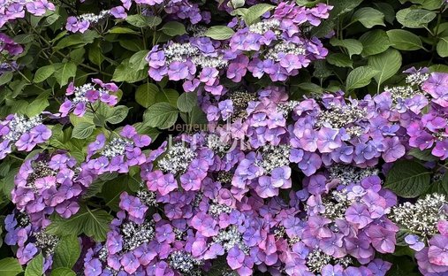 Sale Of A Castle In Guingamp, 693m² 26 Rooms €1,659,000 Côtes D'armor