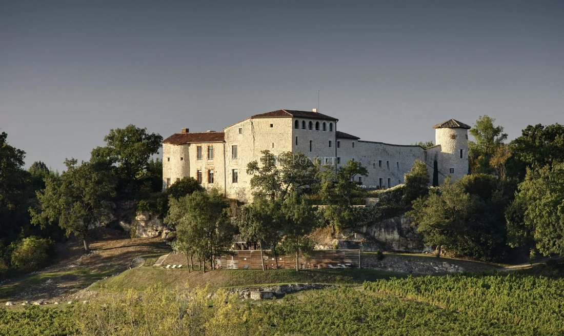 A 13th-Century Dream: Vine-Kissed Château Near Albi’s Golden Hills