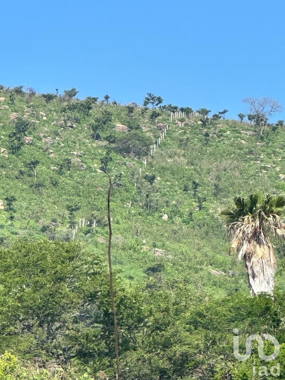 Land in Santa Anita, Jalisco, Mexico 2 - 15976712