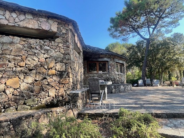 Bavella’s Whisper: A Wild Corsican Castle Awaits Its Renaissance