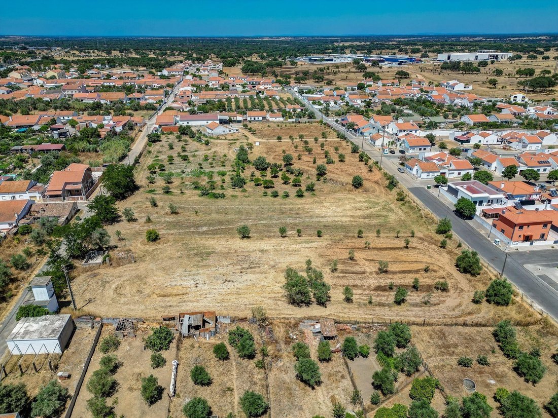 Farm Ranch in Ermidas do Sado, Setubal, Portugal 5 - 15978227