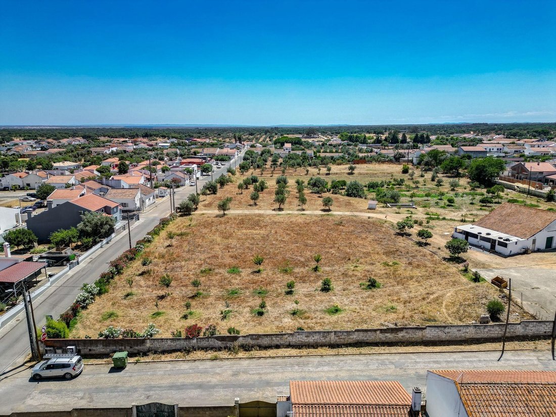 Farm Ranch in Ermidas do Sado, Setubal, Portugal 3 - 15978227