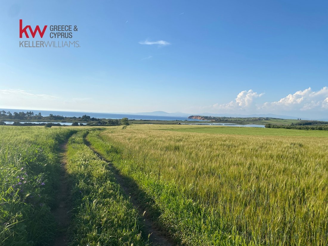 Land in Kassandra, Macedonia and Thrace, Greece 2 - 15574332