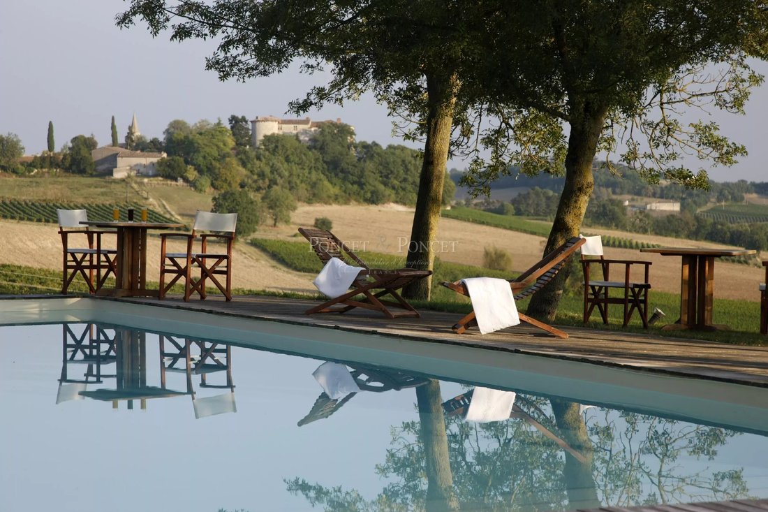 A 13th-Century Dream: Vine-Kissed Château Near Albi’s Golden Hills