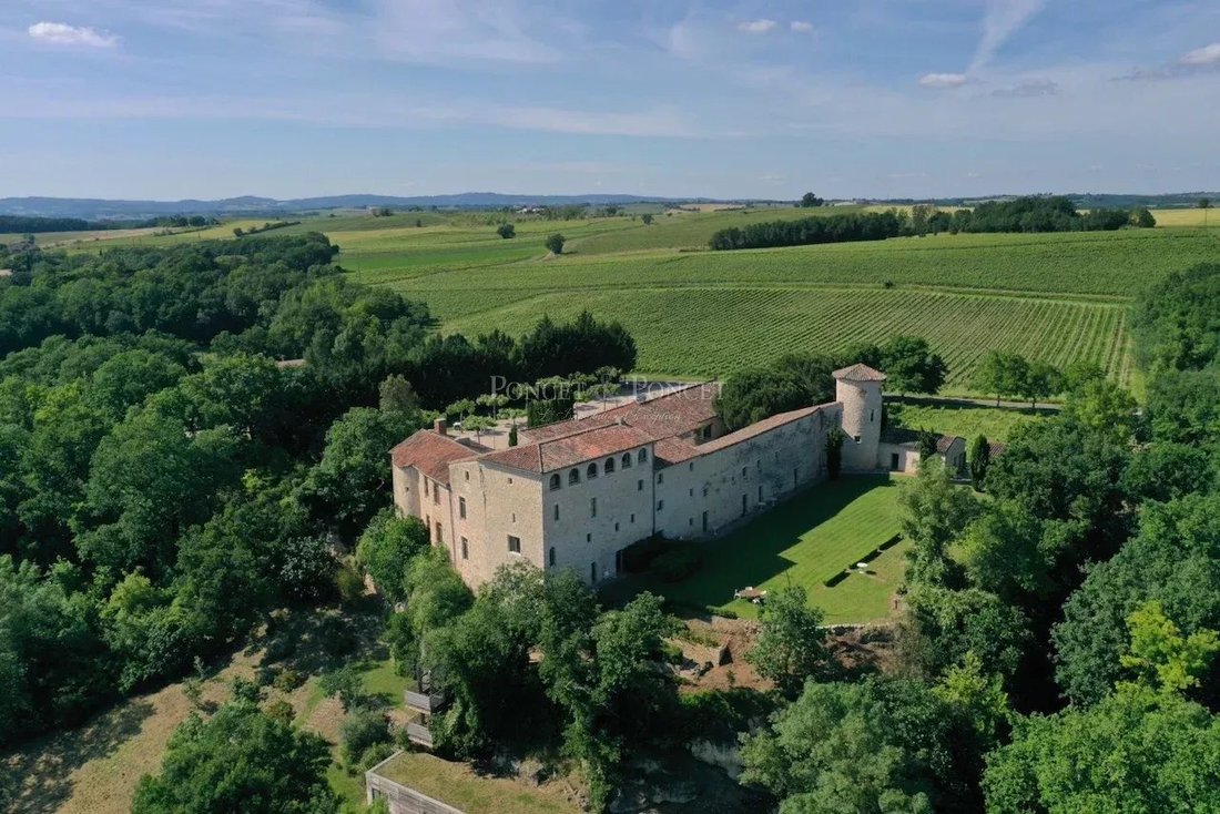 A 13th-Century Dream: Vine-Kissed Château Near Albi’s Golden Hills