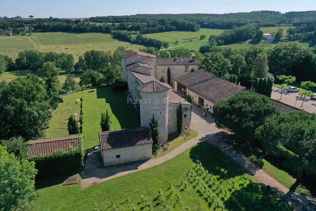 A 13th-Century Dream: Vine-Kissed Château Near Albi’s Golden Hills