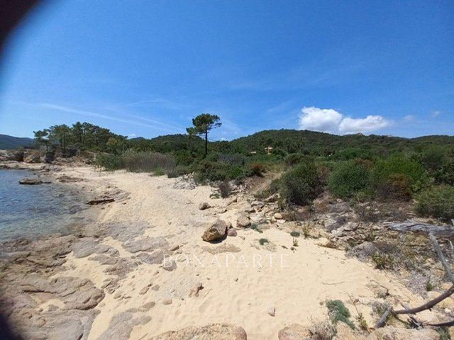Whispers of the Corsican Sea: A Villa Kissed by Sun and Sand
