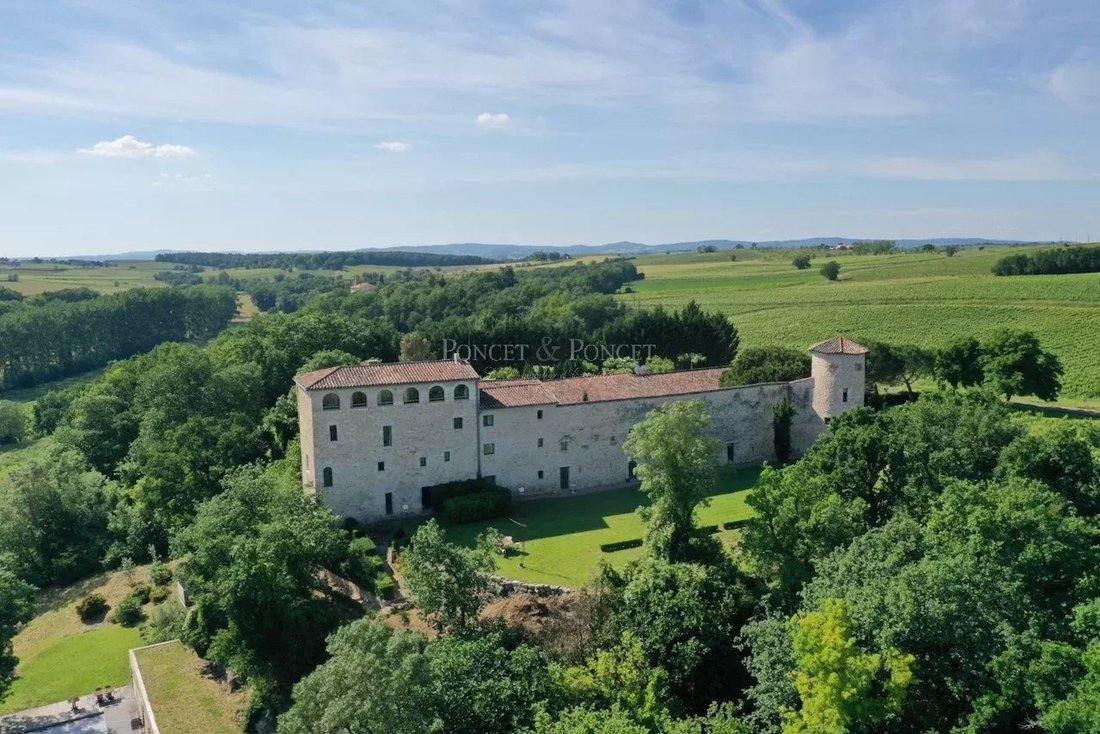 A 13th-Century Dream: Vine-Kissed Château Near Albi’s Golden Hills