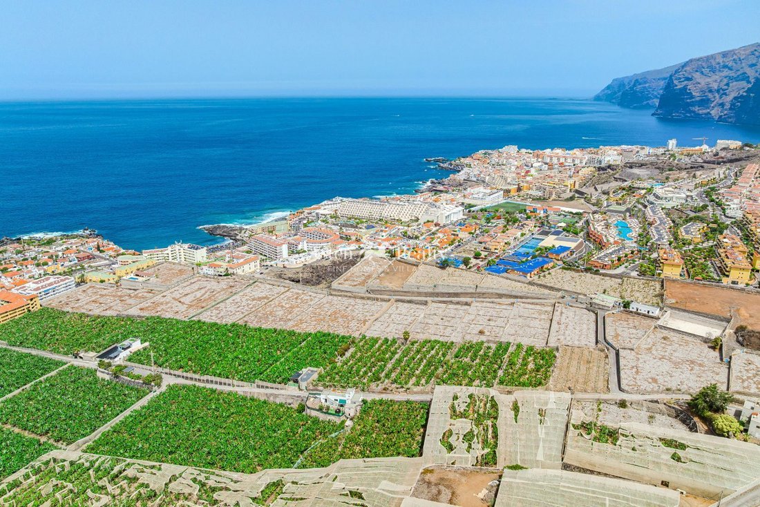 Finca in Santiago del Teide, Canary Islands, Spain 3 - 15981056