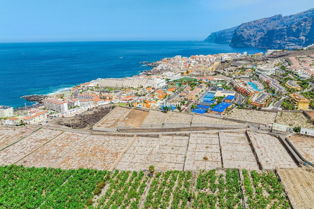 Finca in Santiago del Teide, Canary Islands, Spain 1 - 15981056