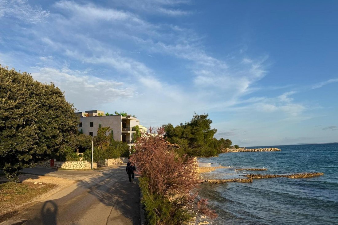 Apartment in Mandre, Croatia 5 - 15978006