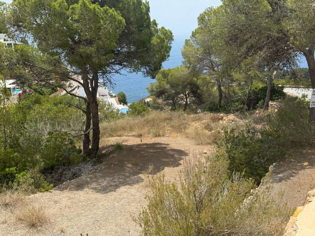 Land in Roca Llisa, Santa Eularia des Riu, Balearic Islands 5 - 15979042