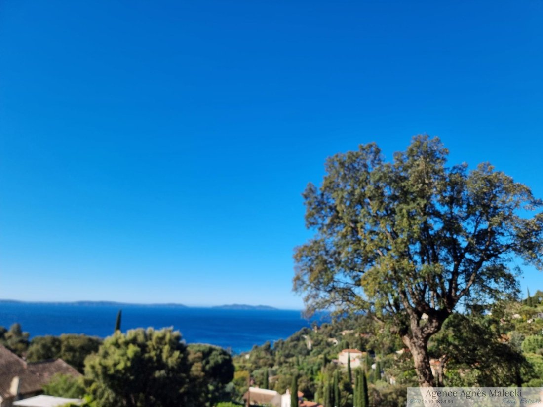 Estate in Rayol-Canadel-sur-Mer, Provence-Alpes-Côte d'Azur, France 3 - 15771528