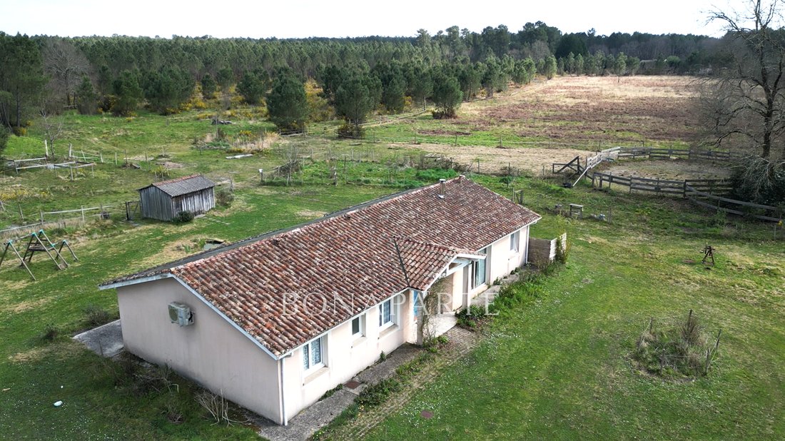 Whispering Pines: A 45-Acre Equestrian Sanctuary in Nouvelle-Aquitaine’s Golden Woods