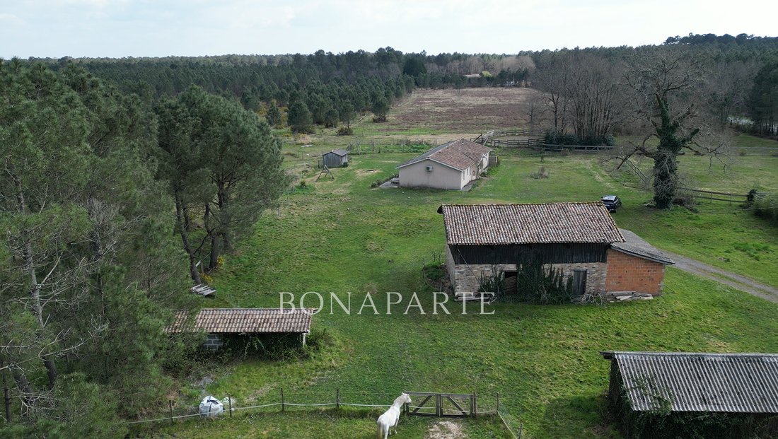 Whispering Pines: A 45-Acre Equestrian Sanctuary in Nouvelle-Aquitaine’s Golden Woods
