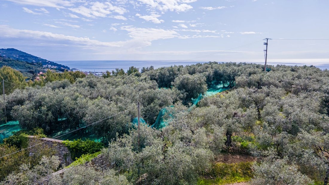 Estate in Porto Maurizio, Imperia, Liguria 4 - 15984119