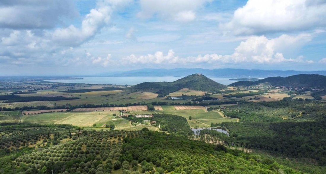 Panicale, Umbria, Italy 3 - 15984994