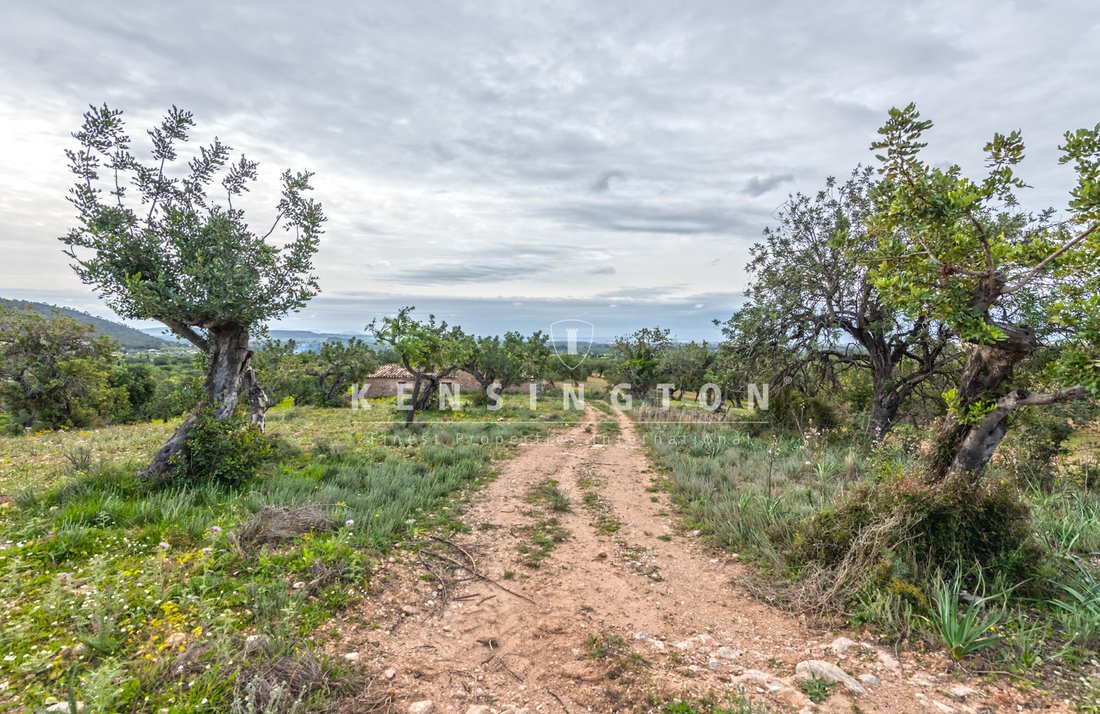 Country House in Bunyola, Balearic Islands, Spain 5 - 13155981
