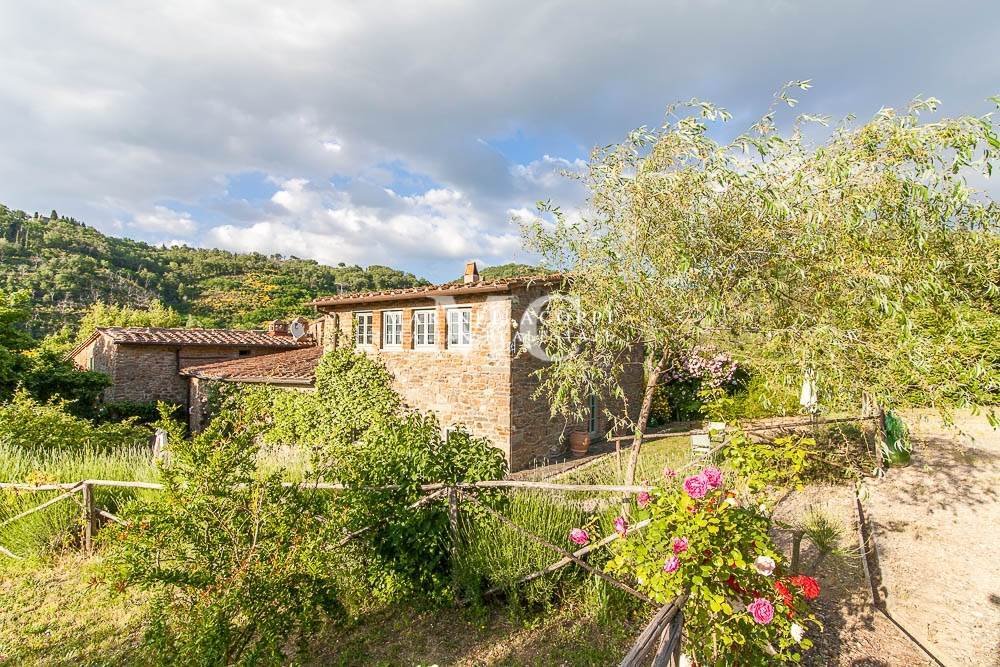 San Polo in Chianti, Greve in Chianti, Tuscany 3 - 15984767