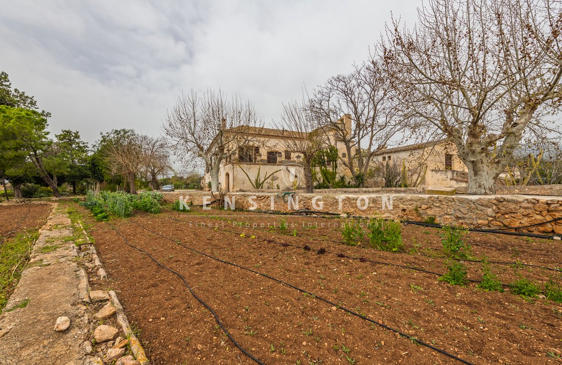 Country House in Bunyola, Balearic Islands, Spain 1 - 13155973