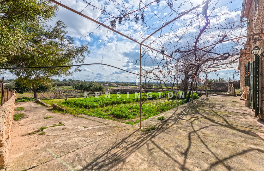 Country House in Palma, Balearic Islands, Spain 3 - 13159253