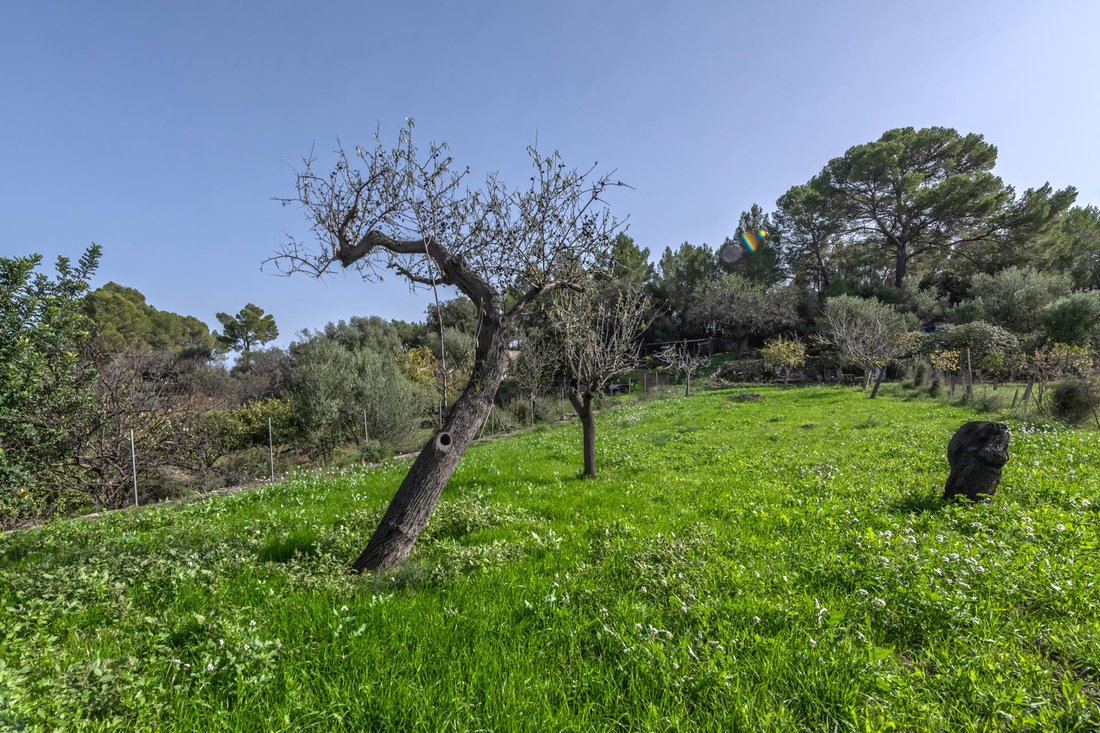 Country House in Alaro, Balearic Islands, Spain 4 - 14955975