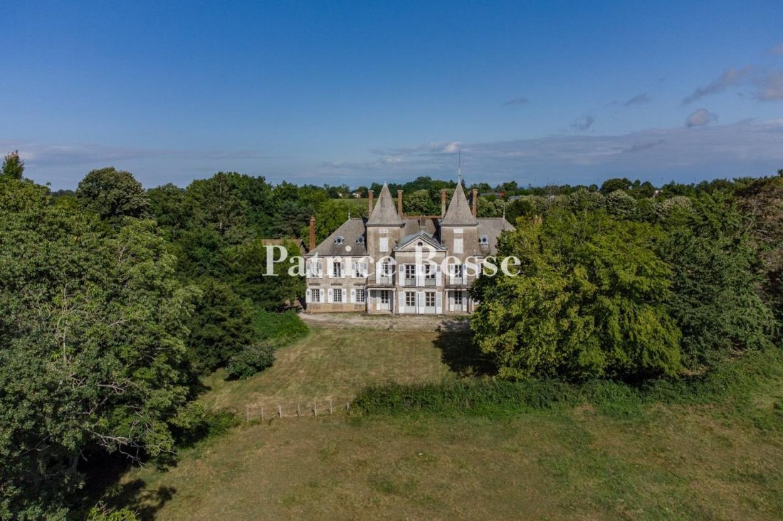 Whispers of Burgundy: A Forgotten Château Awaits Its Renaissance