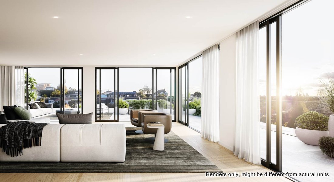 House in Auckland, Auckland, New Zealand 4 - 15985408
