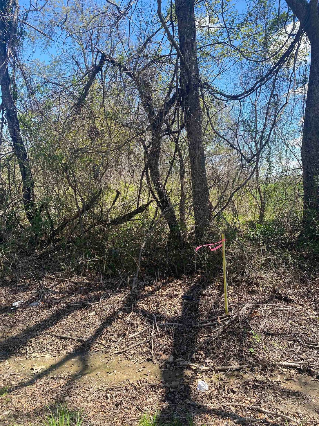 Land in Mason, Tennessee, United States 5 - 15985868
