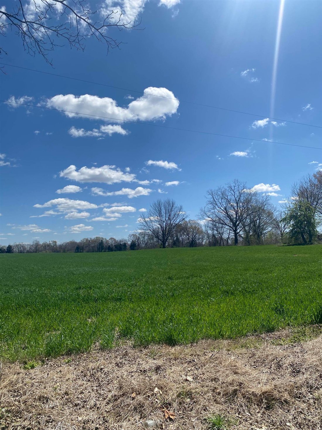 Land in Mason, Tennessee, United States 1 - 15985868