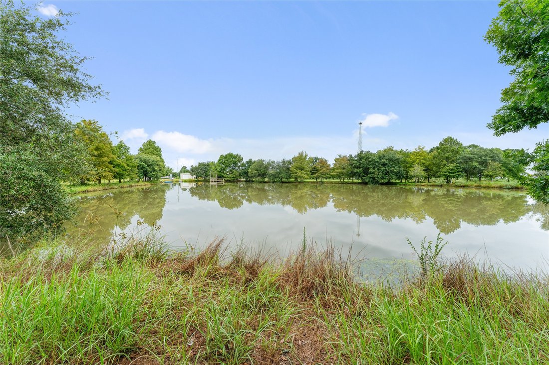 Azienda agricola a Damon, Texas, Stati Uniti 5 - 15607413