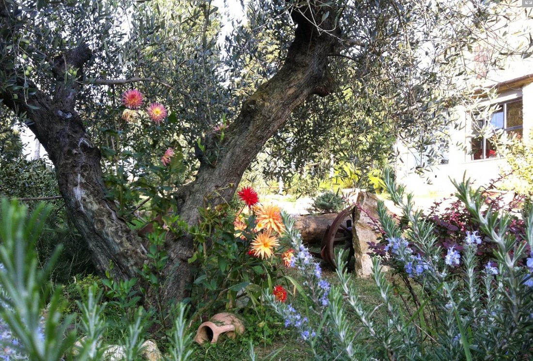 Passignano sul Trasimeno, Umbria, Italy 5 - 15984996
