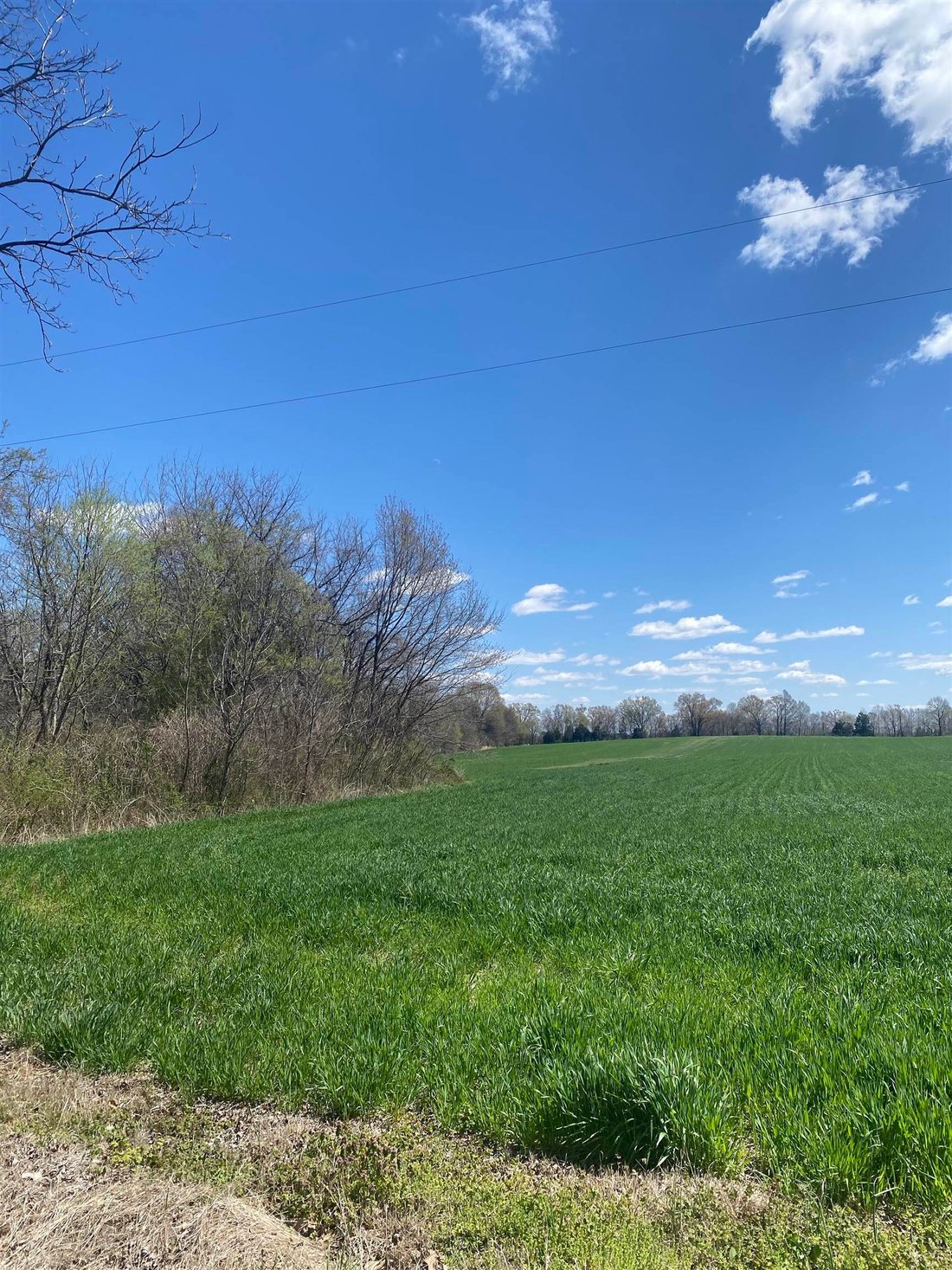 Land in Mason, Tennessee, United States 2 - 15985868