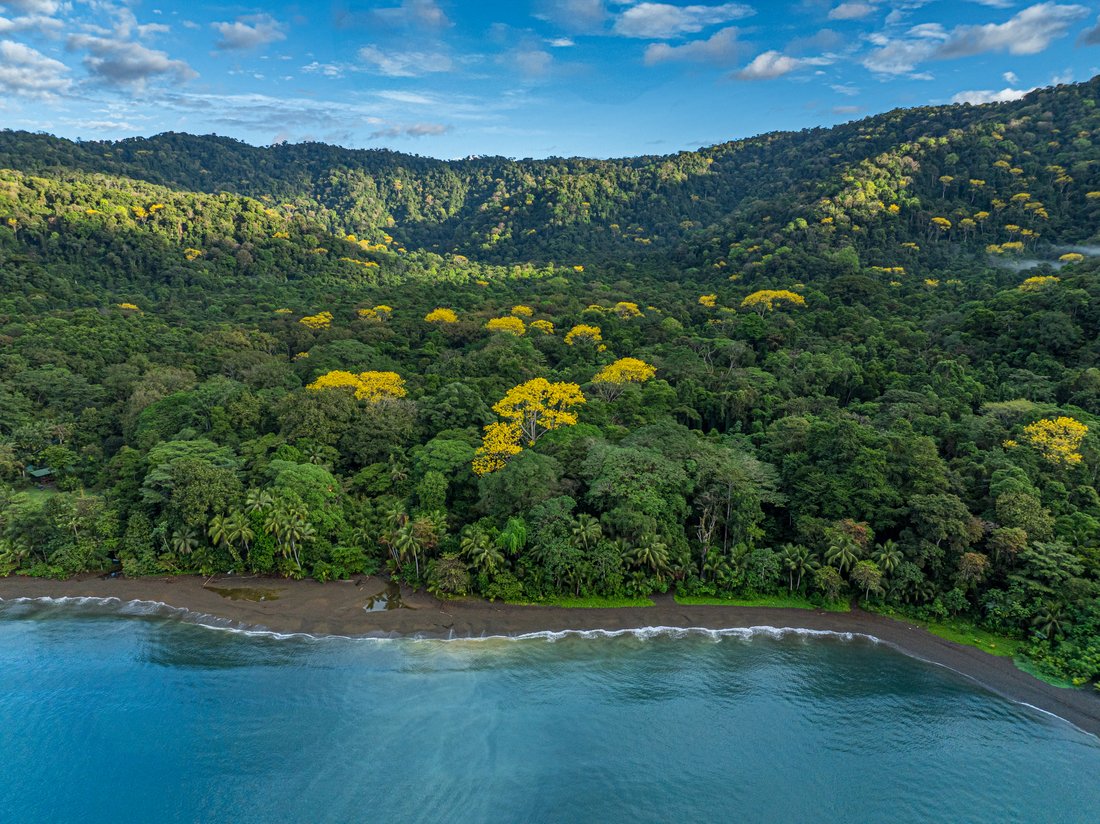 House in Golfito, Puntarenas Province, Costa Rica 1 - 15984873