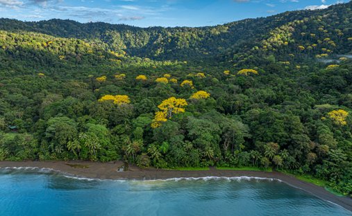 House in Golfito, Puntarenas Province, Costa Rica 1