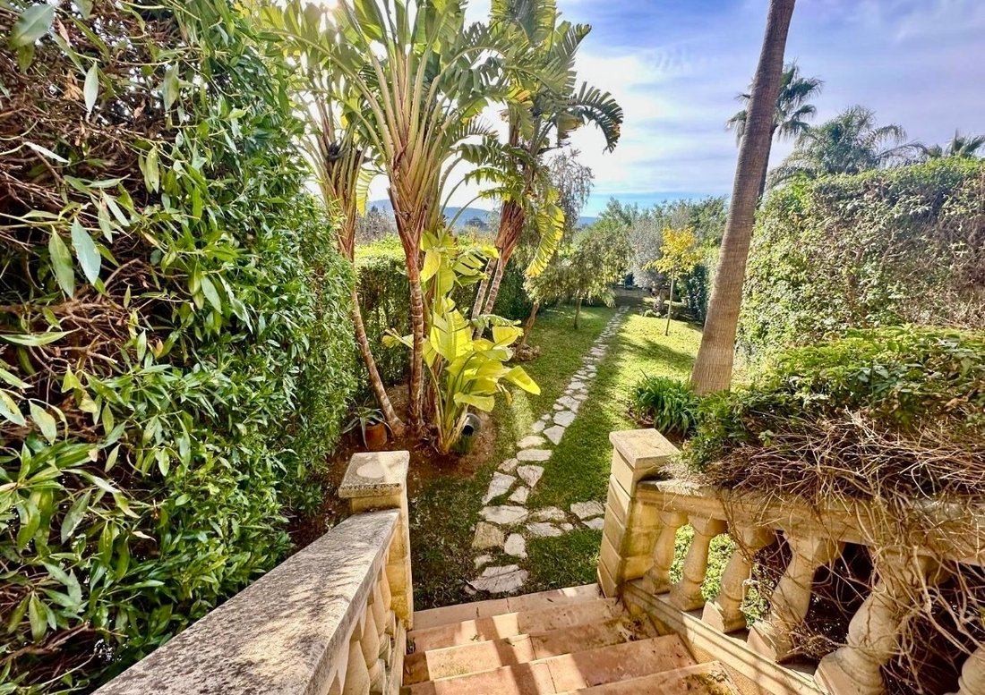 Finca in Calvia, Balearic Islands, Spain 5 - 15984210