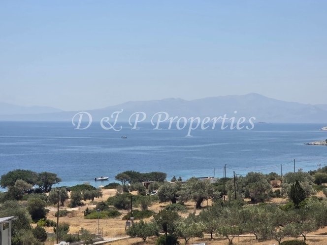 Villa in Styra Municipal Unit, Thessaly and Central Greece, Greece 4 - 15983932