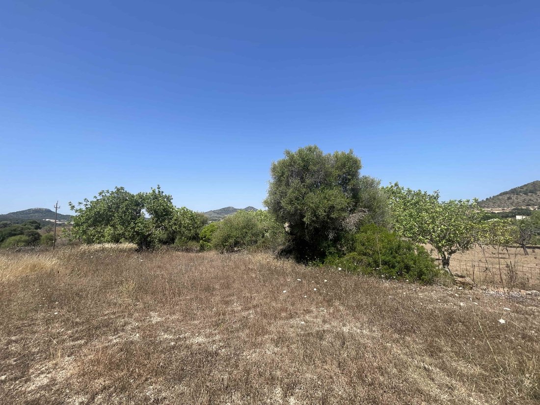 Terreno a Son Servera, Isole Baleari, Spagna 4 - 15985163