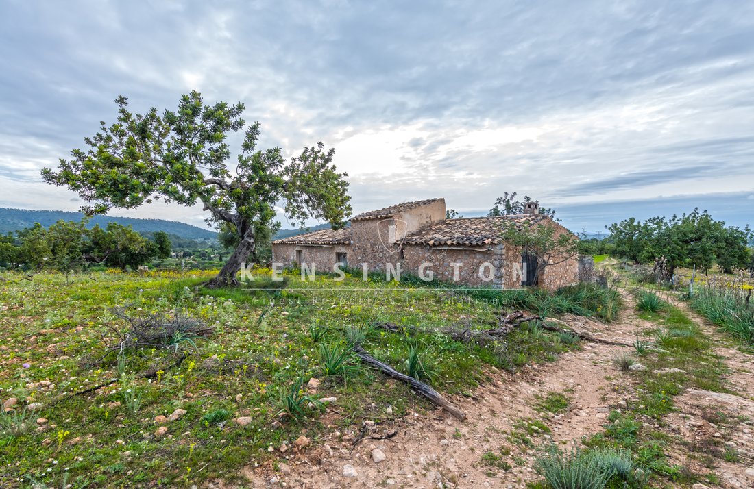 Country House in Bunyola, Balearic Islands, Spain 1 - 13155981