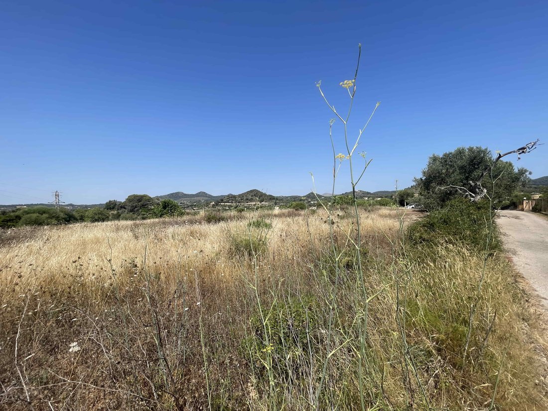 Terreno a Son Servera, Isole Baleari, Spagna 5 - 15985163
