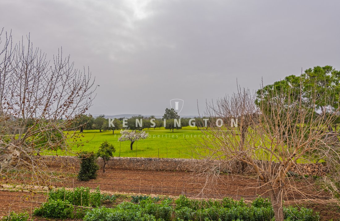 Country House in Bunyola, Balearic Islands, Spain 2 - 13155973