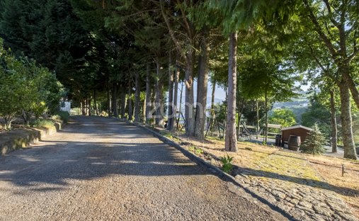 Finca in Santa Marinha do Zezere, Porto District, Portugal 1
