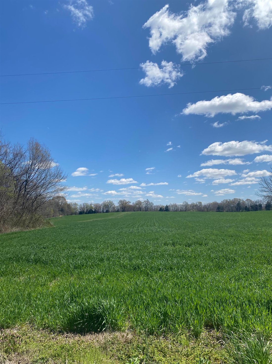 Land in Mason, Tennessee, United States 3 - 15985868