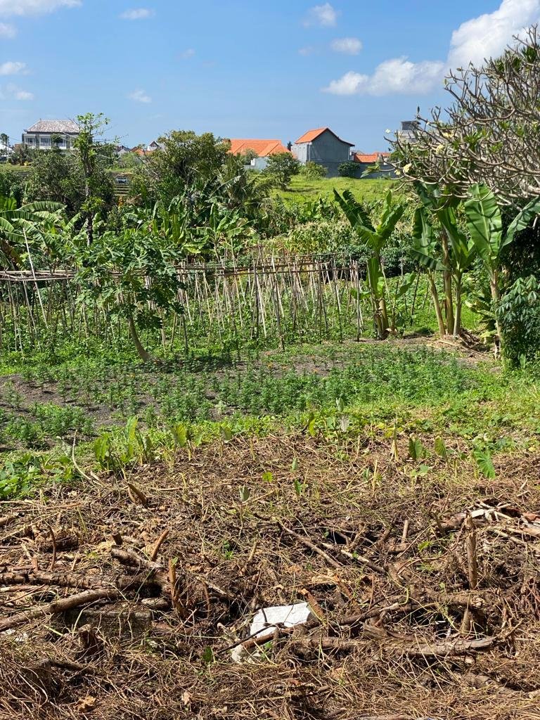 Land in Kuta Utara, Bali, Indonesia 5 - 15985497