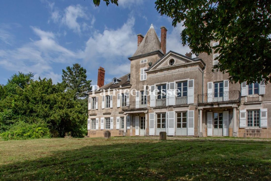 Whispers of Burgundy: A Forgotten Château Awaits Its Renaissance