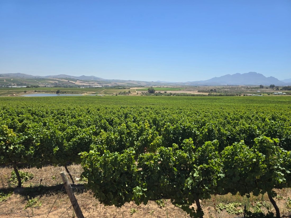 Farm Ranch in Stellenbosch, Western Cape, South Africa 2 - 15984446
