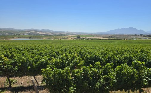 Terreno a Stellenbosch, Capo Occidentale, Sudafrica 1
