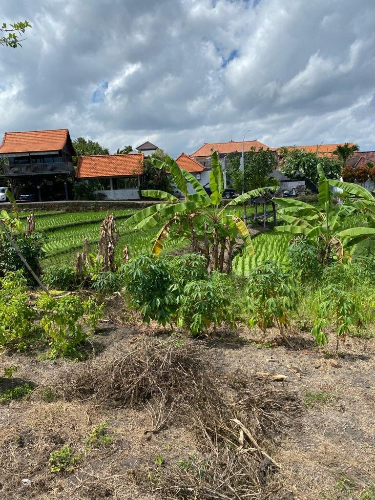 Land in Kuta Utara, Bali, Indonesia 3 - 15985497